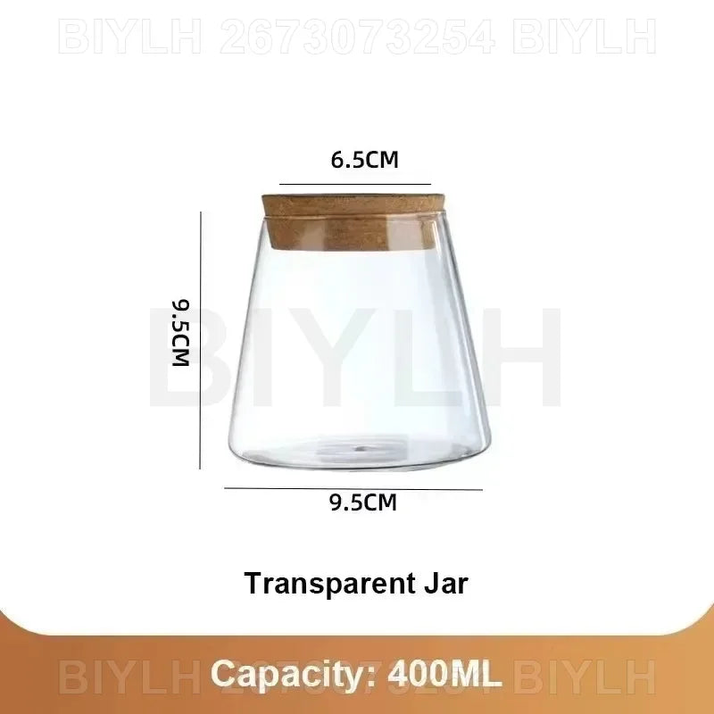 Hydroponic Glass Vase Transparent Flower Pot Plant Home Decor With Base Tray