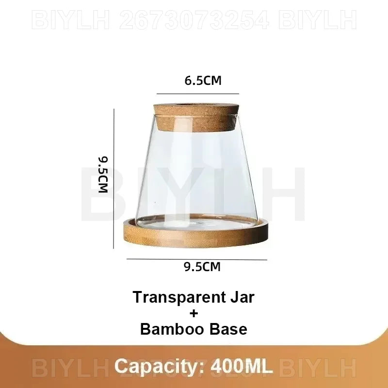 Hydroponic Glass Vase Transparent Flower Pot Plant Home Decor With Base Tray